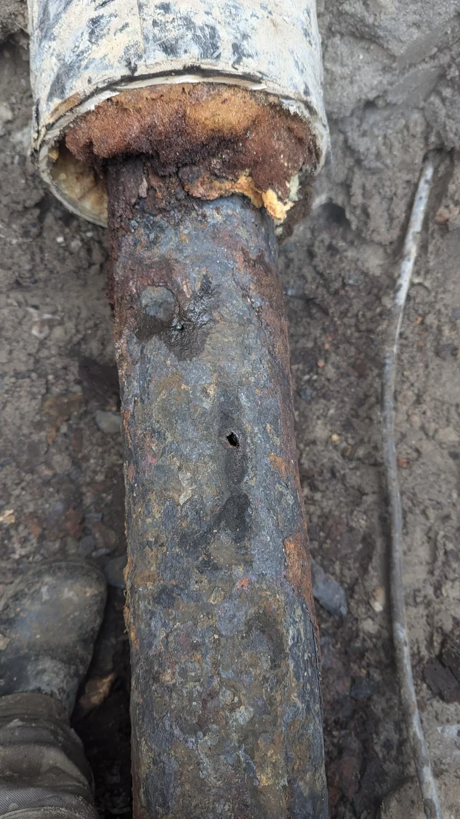 whatsapp-image-2025-10-29-at-125604-3