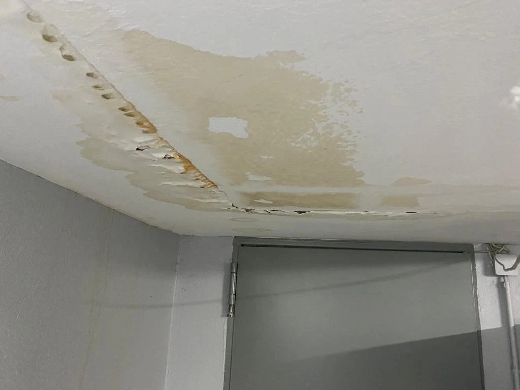 whatsapp-image-2025-10-29-at-131544-1